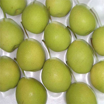 Shandong Pears